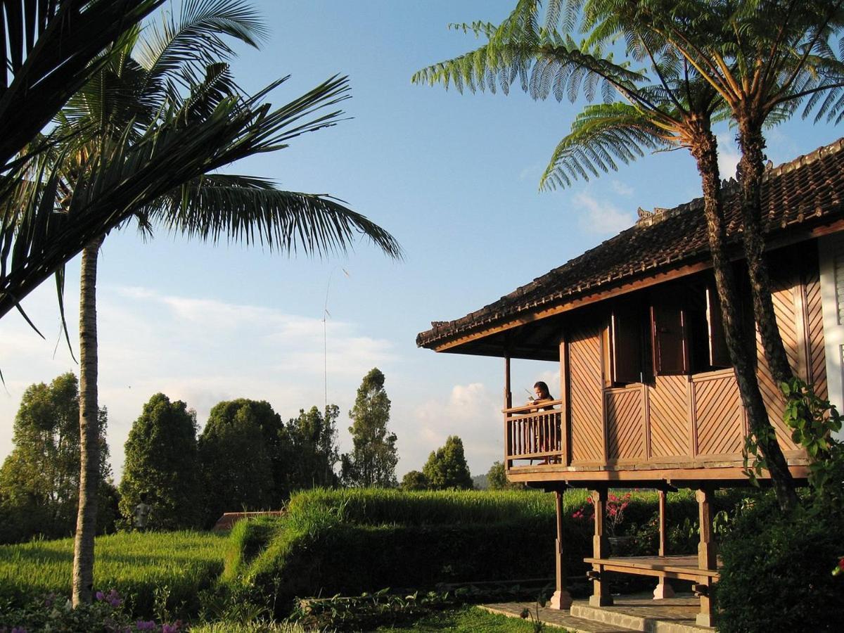 Puri Lumbung Cottages Restaurant & Spa Munduk Exteriör bild