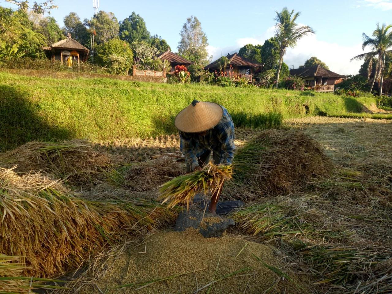 Puri Lumbung Cottages Restaurant & Spa Munduk Exteriör bild
